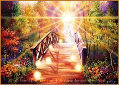 Entre reve et imagination