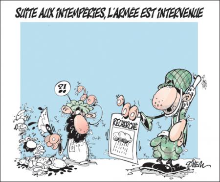 Dilem