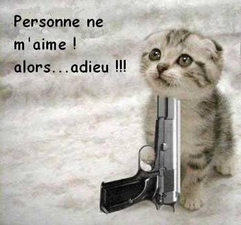 svp ne fai pa ça chi vo